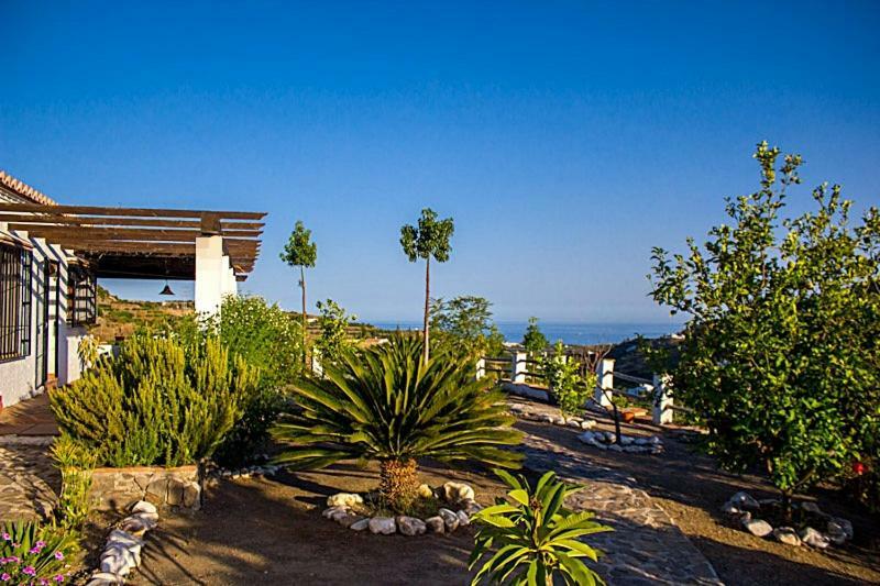 Villa Del Sol Фріхіліана Екстер'єр фото